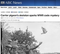 ABC News / carrier pigeon story