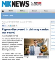 MK news / pigeon story