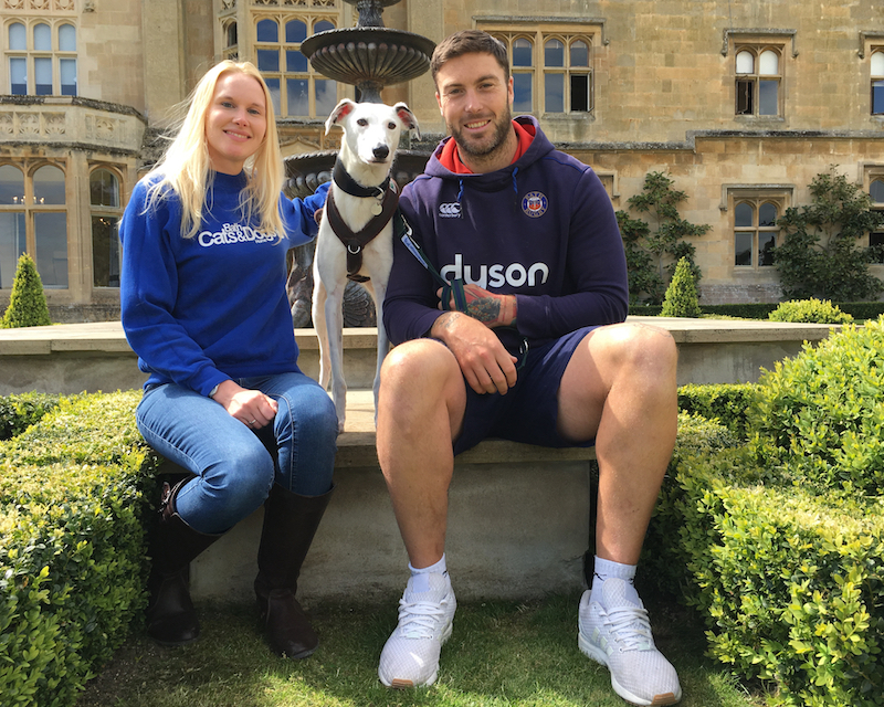 Teaming up: Bath Cats and Dogs Home with Bath Rugby