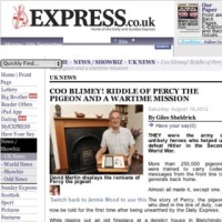 Express online / wartime pigeon story