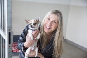 Bath Cats and Dogs Home supporter Sharron Davies hopes canine friends like Chico the chihuahua will benefit from funds raised in its Kennel Break fundraising event
