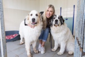 Bath Cats and Dogs Home supporter Sharron Davies hopes canine friends like Shadow and Brooke will benefit from funds raised in its Kennel Break fundraising event