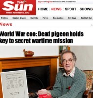 The Sun / World War pigeon story